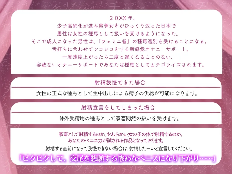 本文説明画像