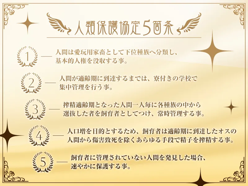 本文説明画像