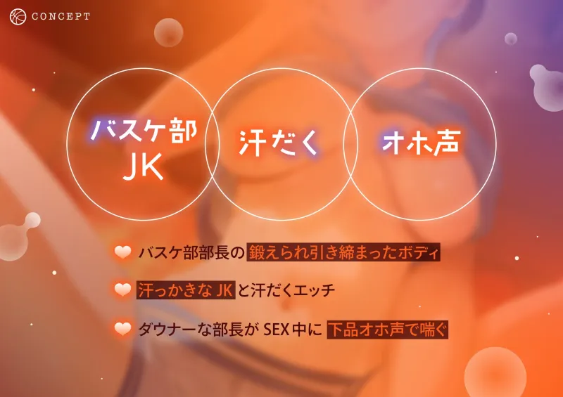 本文説明画像