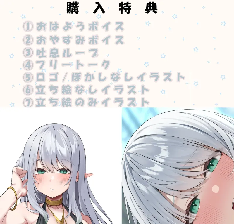 本文説明画像