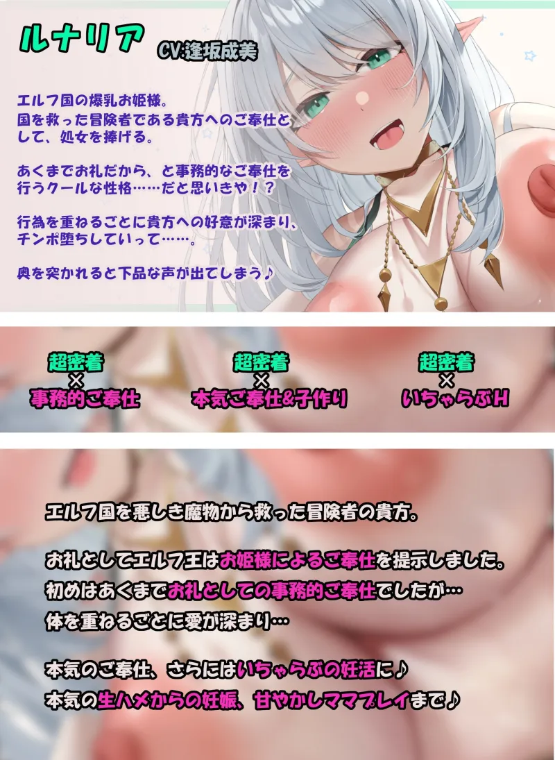 本文説明画像