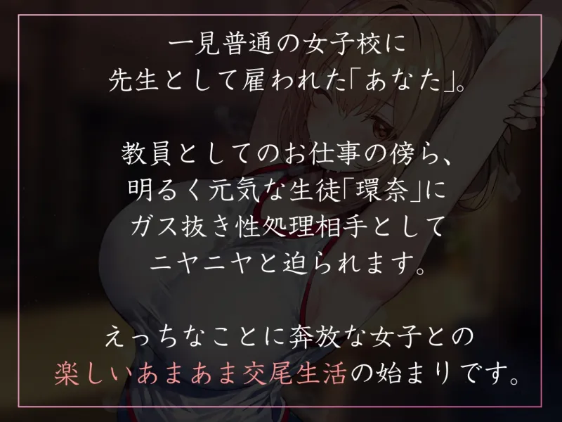 本文説明画像