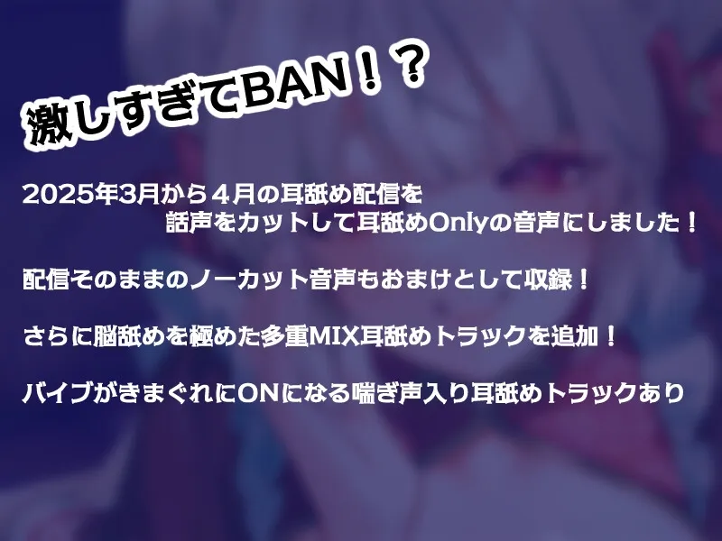 本文説明画像
