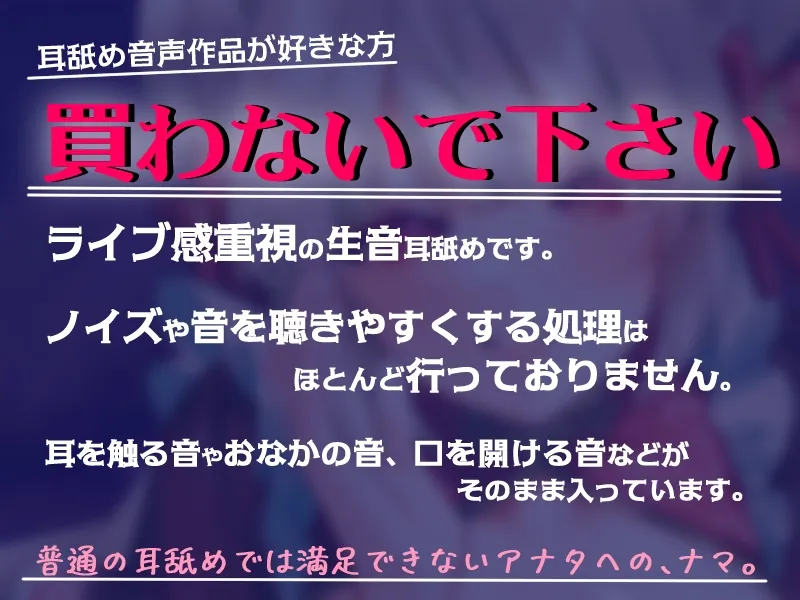 本文説明画像