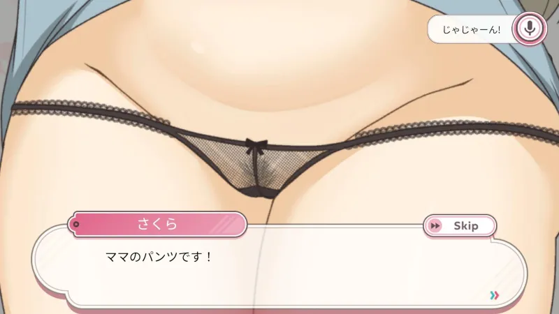 本文説明画像