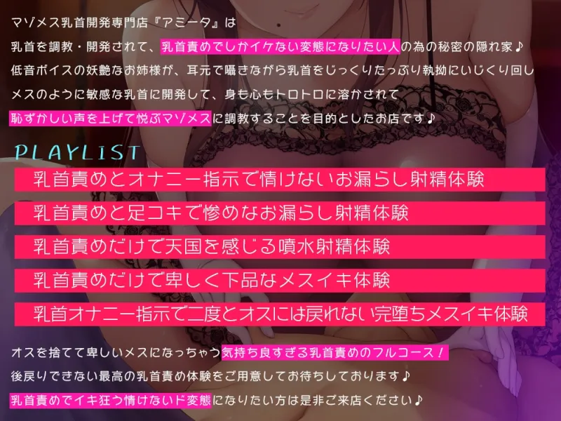 本文説明画像