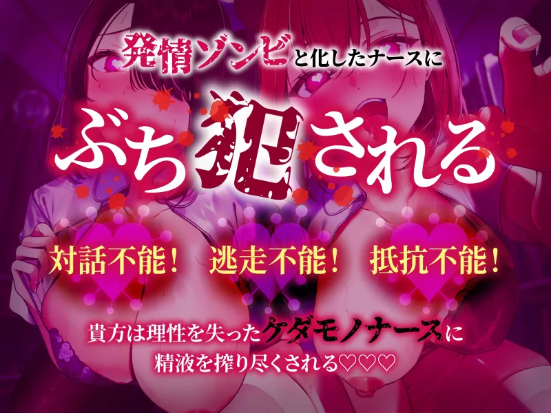 本文説明画像