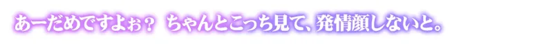 本文説明画像