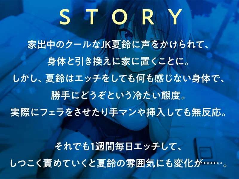 本文説明画像