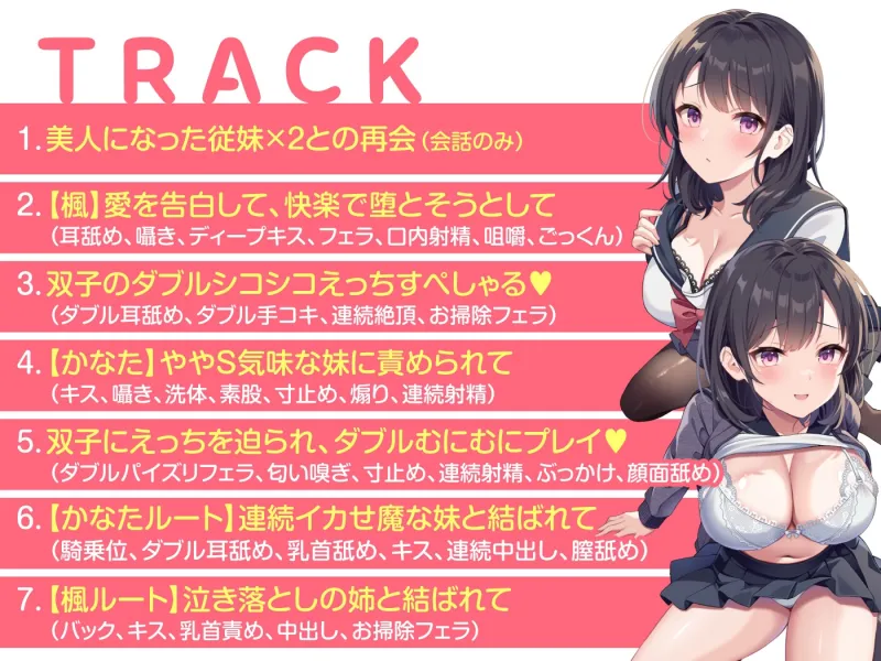 本文説明画像