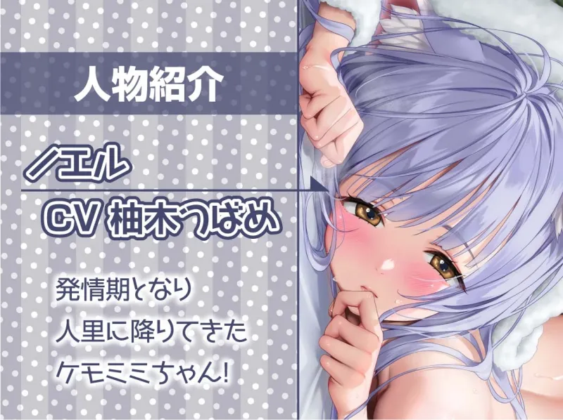 無口ケモミミちゃんと繁殖交尾【フォーリーサウンド】