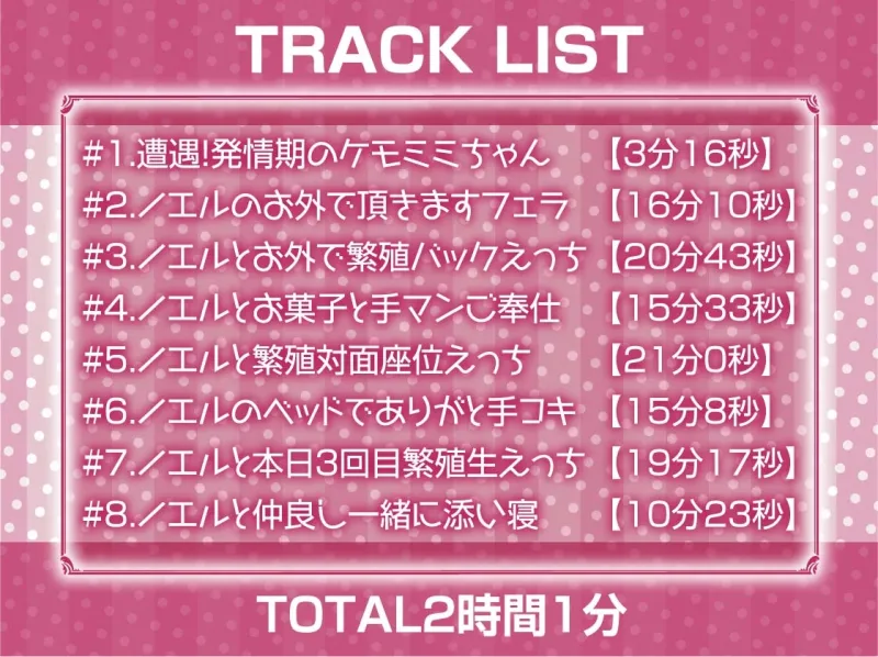 無口ケモミミちゃんと繁殖交尾【フォーリーサウンド】