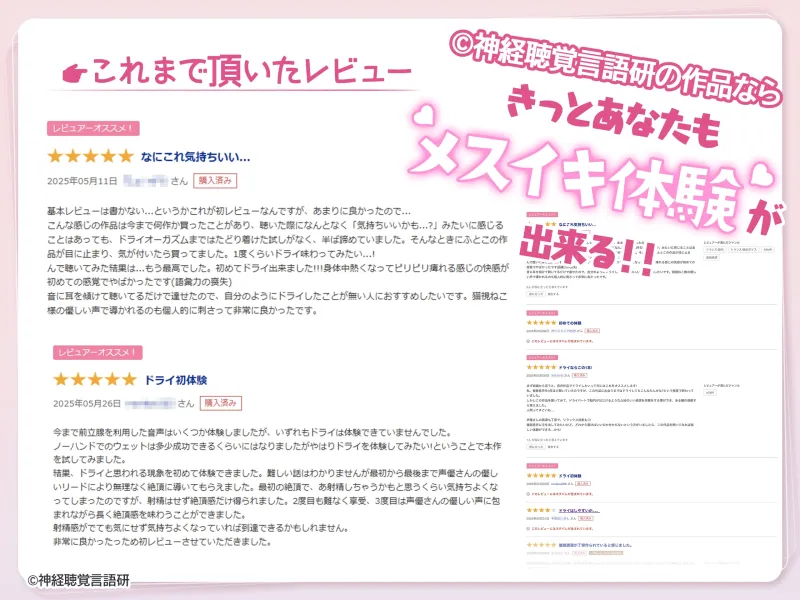 本文説明画像