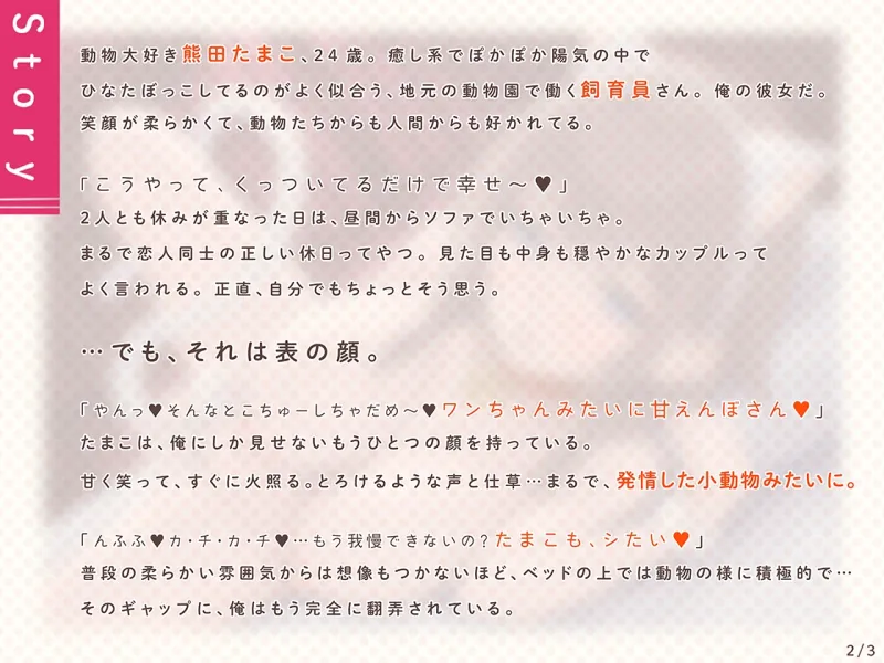 本文説明画像