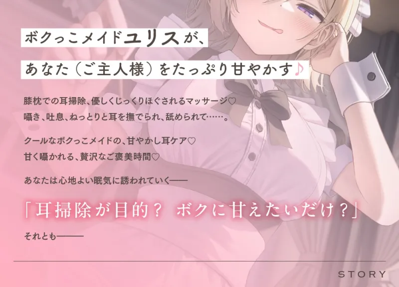 本文説明画像