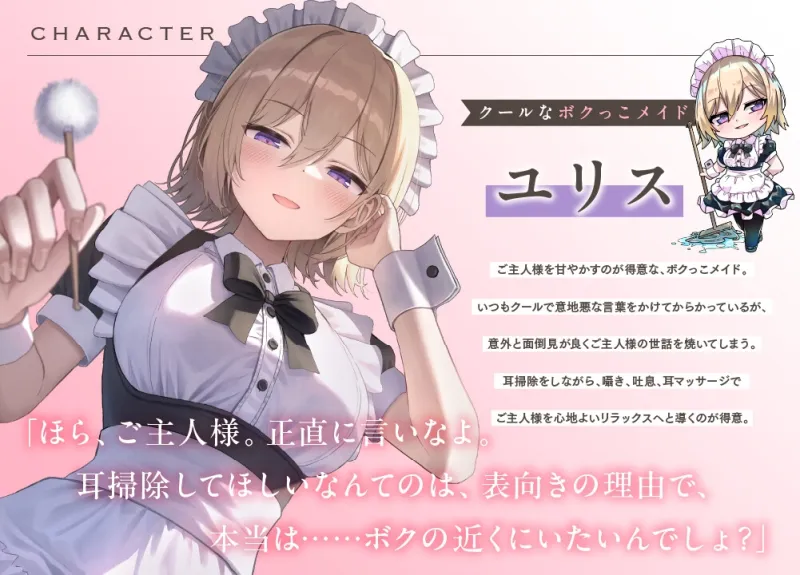 本文説明画像