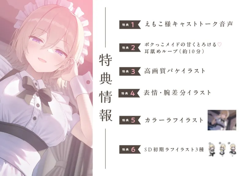 本文説明画像