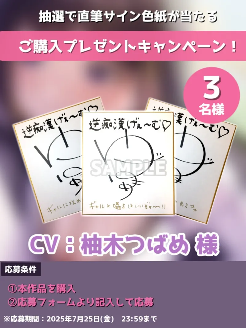本文説明画像