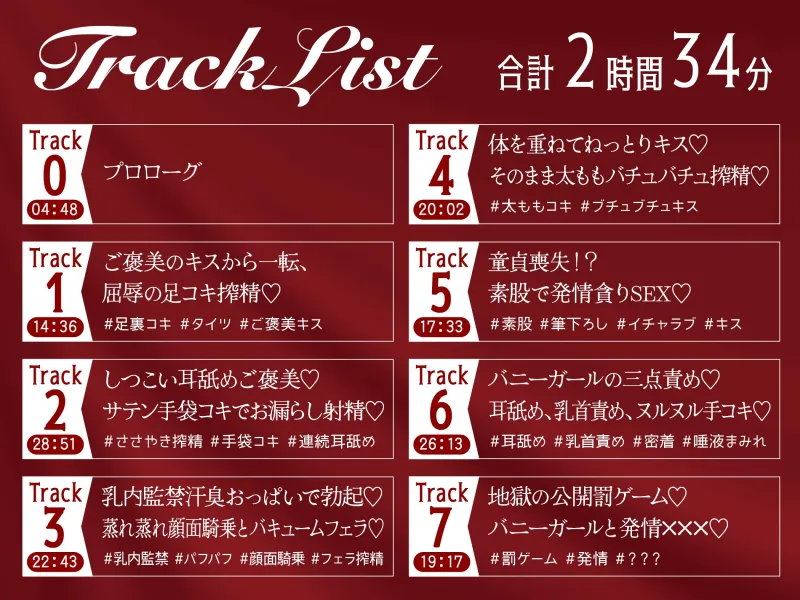 本文説明画像