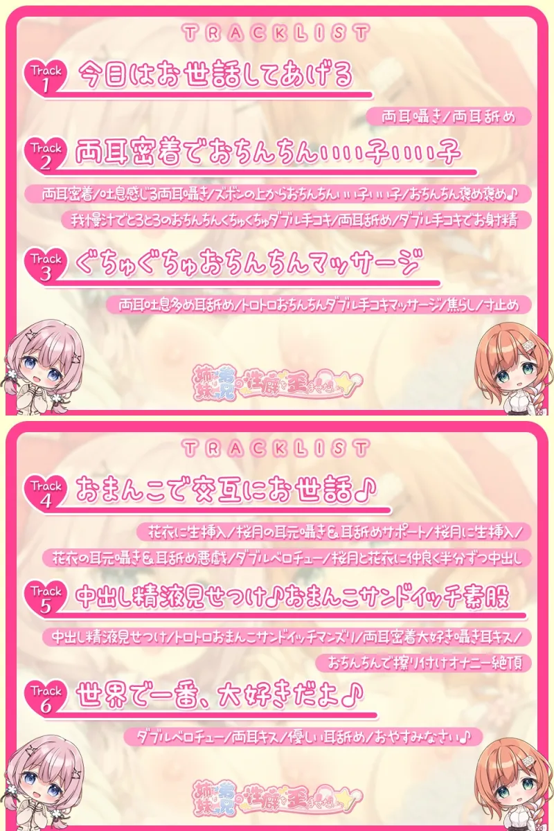 本文説明画像