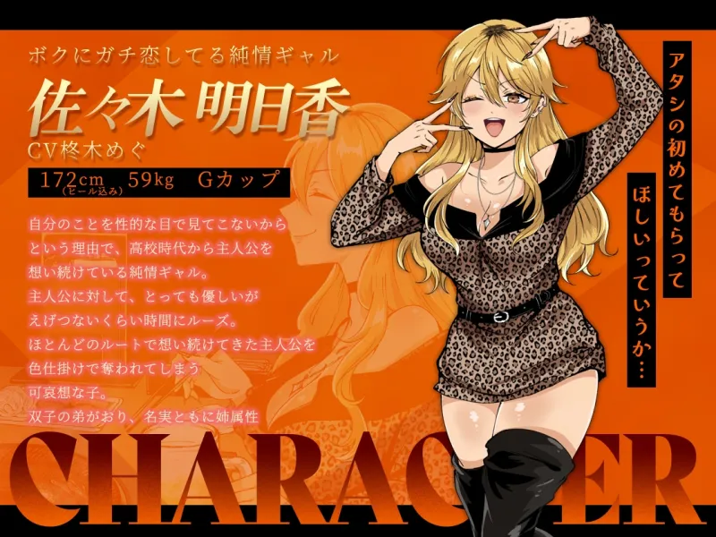 本文説明画像