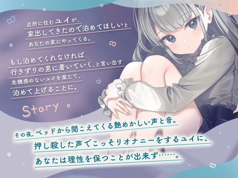 本文説明画像