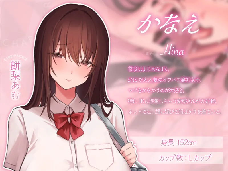 本文説明画像