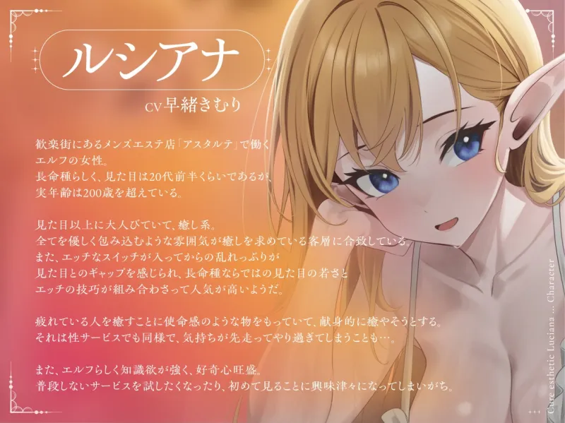 本文説明画像