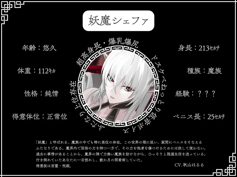 本文説明画像