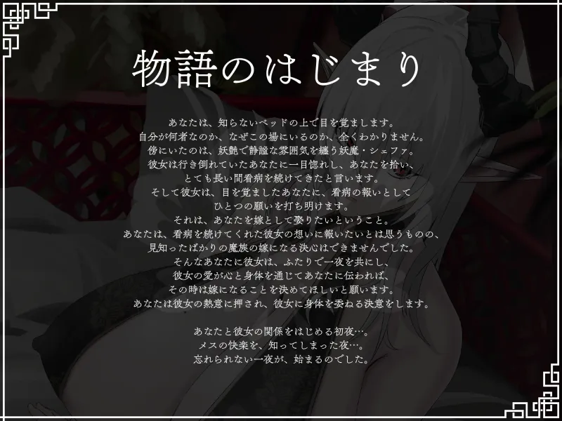 本文説明画像