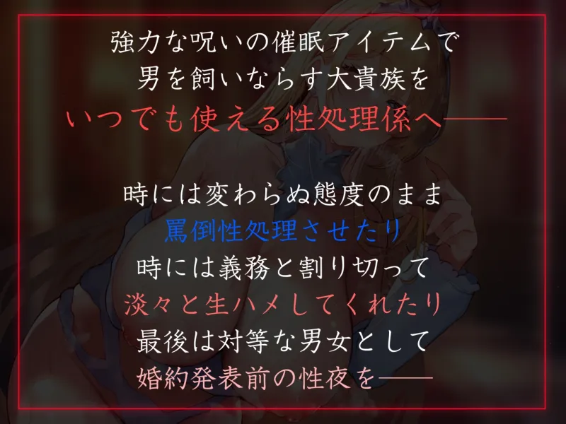 本文説明画像