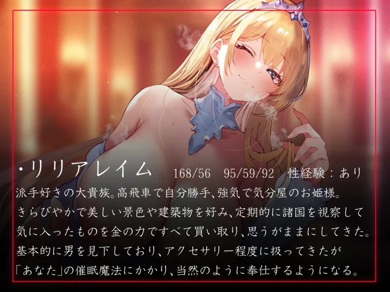 本文説明画像