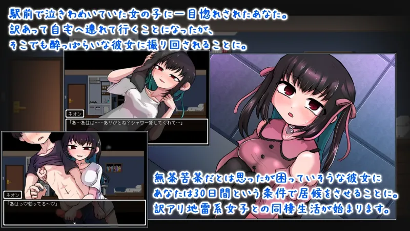 本文説明画像