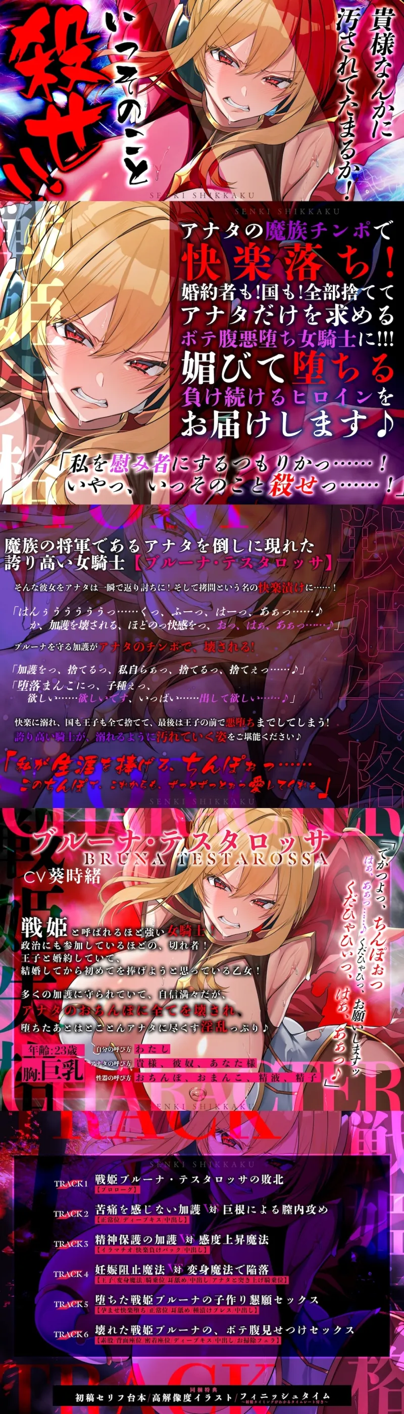 本文説明画像