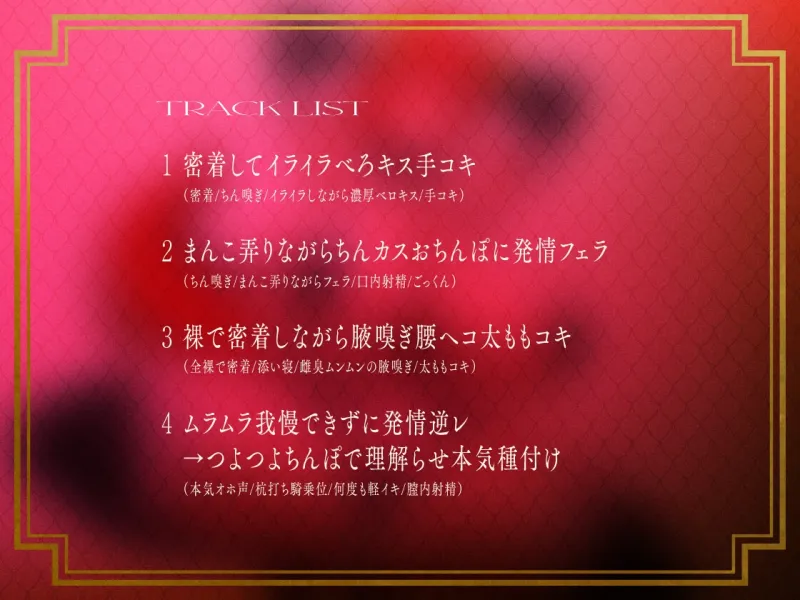 本文説明画像