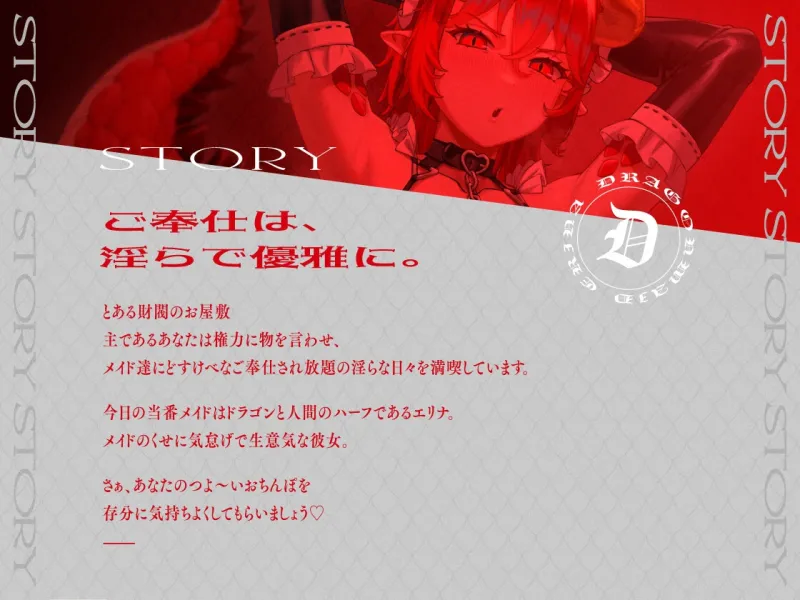 本文説明画像