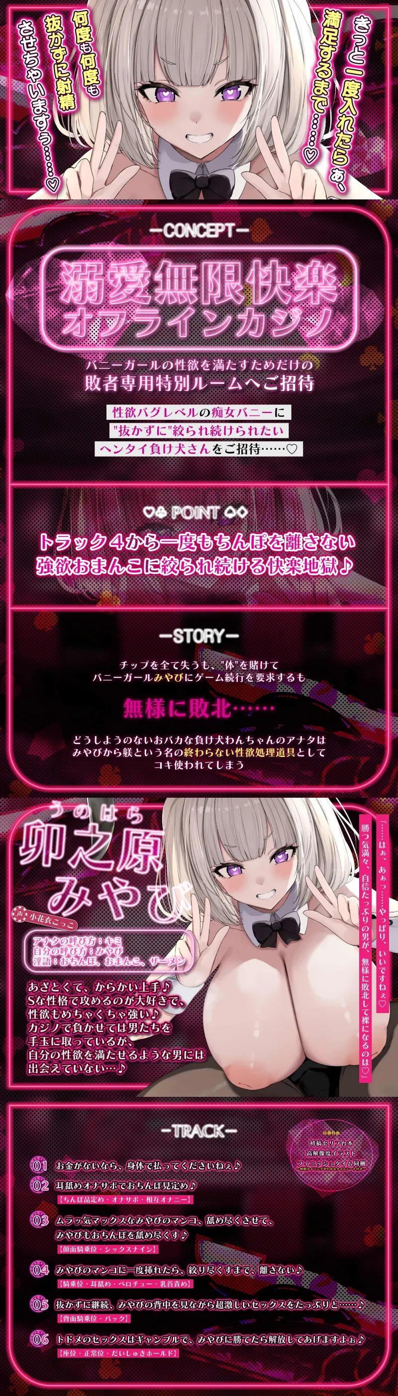 本文説明画像