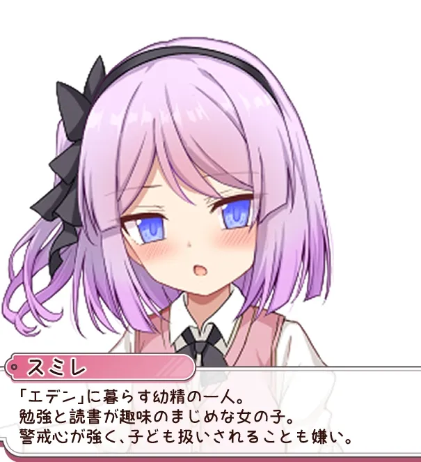 本文説明画像