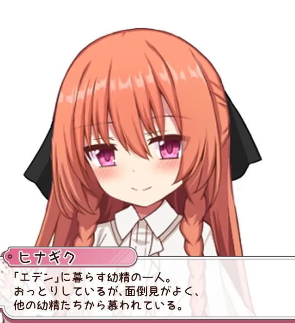 本文説明画像