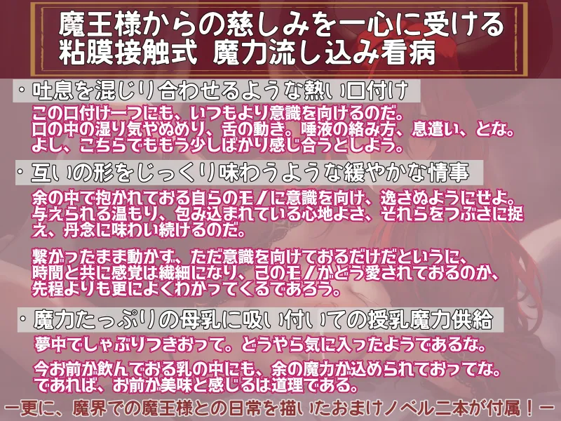 本文説明画像