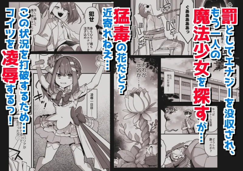 悪の手先になったので。～魔法少女を陵辱します～3前編