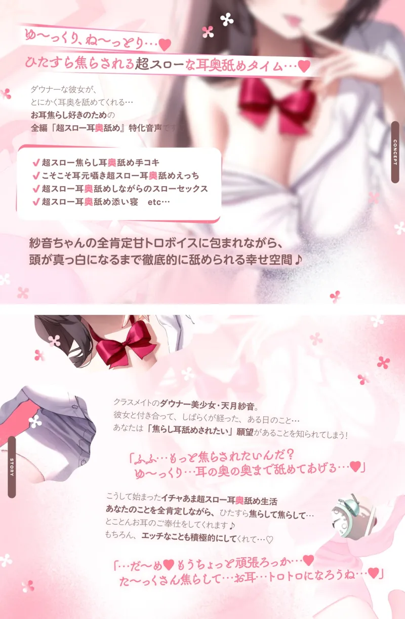本文説明画像