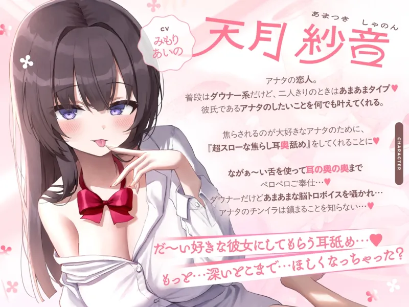 本文説明画像