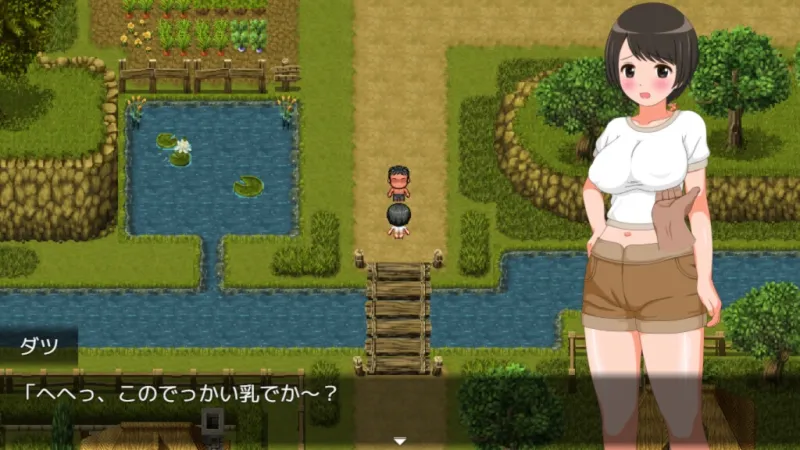 本文説明画像