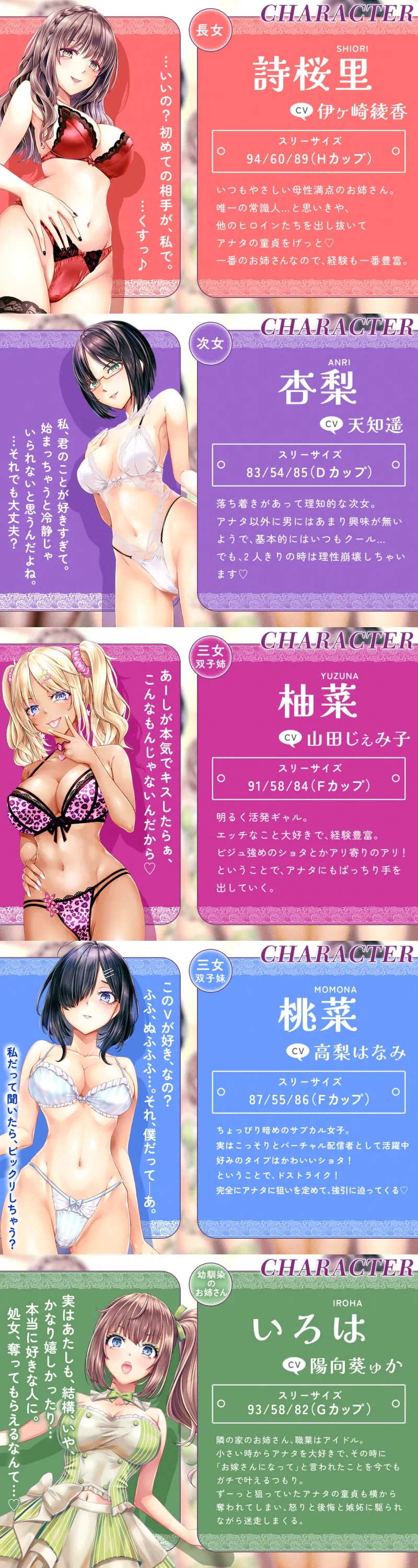 本文説明画像