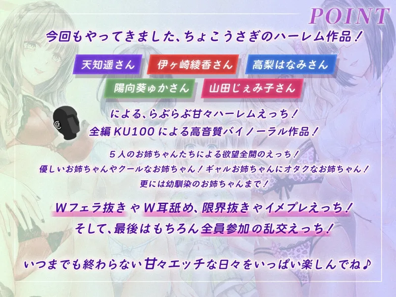 本文説明画像