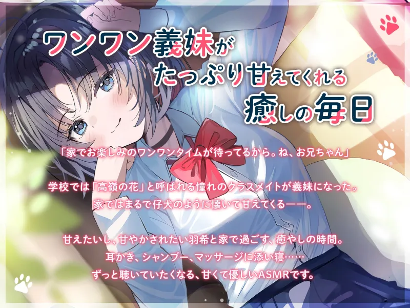 本文説明画像