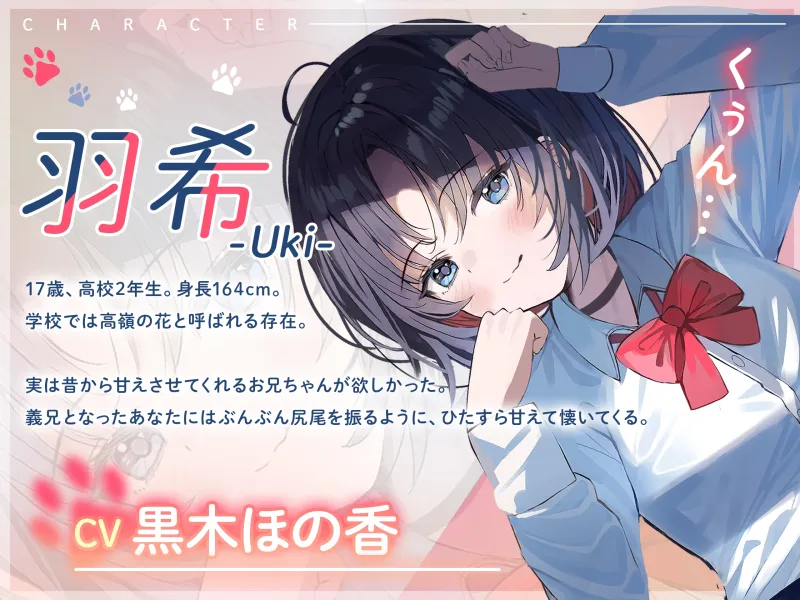 本文説明画像