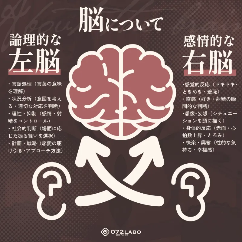 【脳バグ】命令の右耳とドスケベ本心が聞こえる左耳「右耳左耳右脳左脳」〜とても厳しい射精管理官★低音ボイスお姉さんの本音〜【射精管理官の本音】