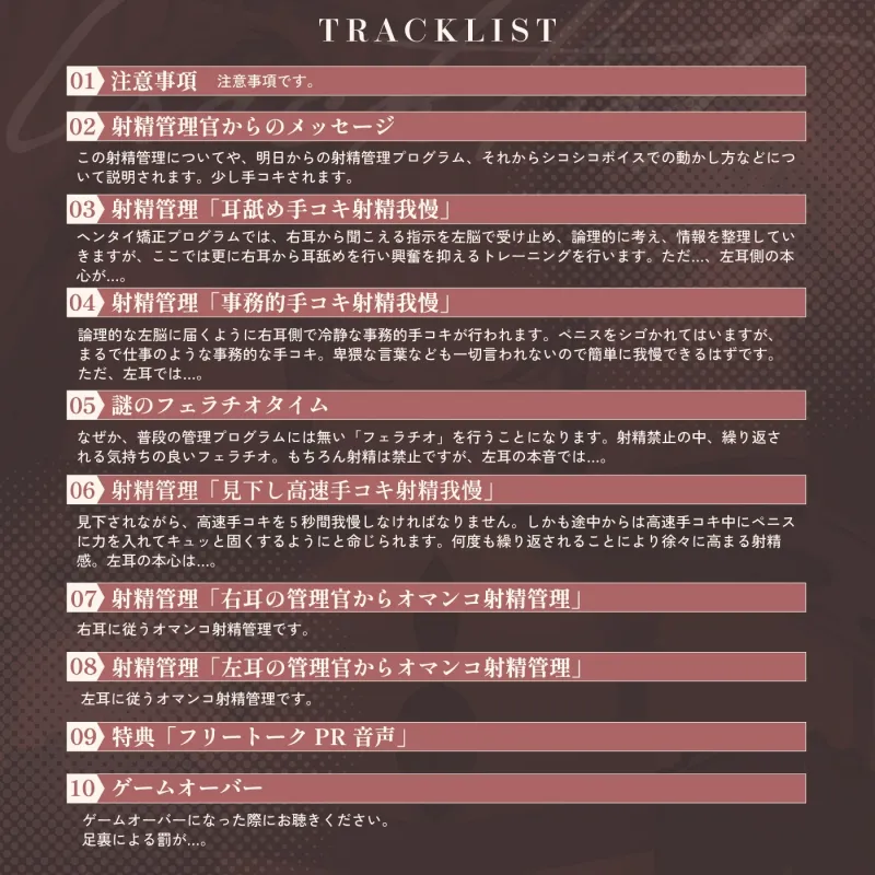 本文説明画像